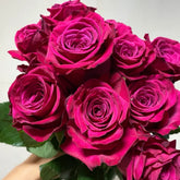Roseberry Rose
